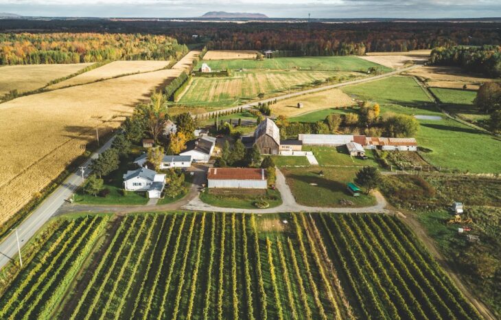 The CLD of Brome-Missisquoi is calling for candidates eligible for the 2021 grants supporting young farmers