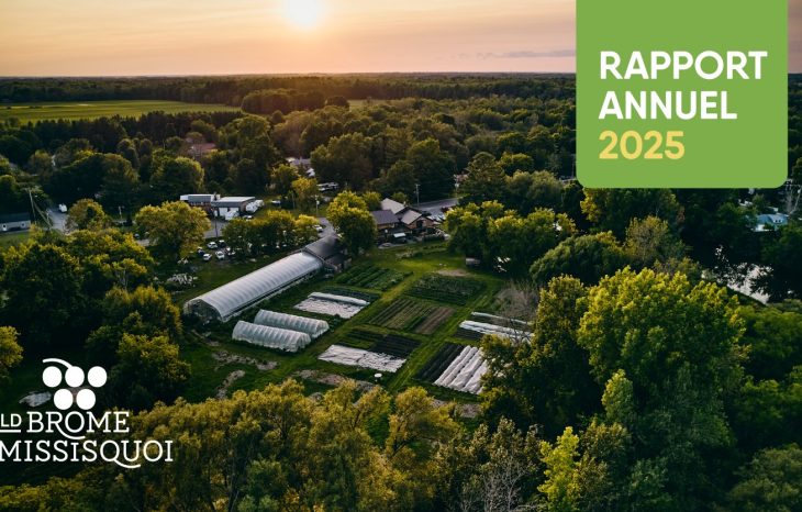 Le CLD de Brome‑Missisquoi dévoile aujourd’hui son rapport annuel 2025